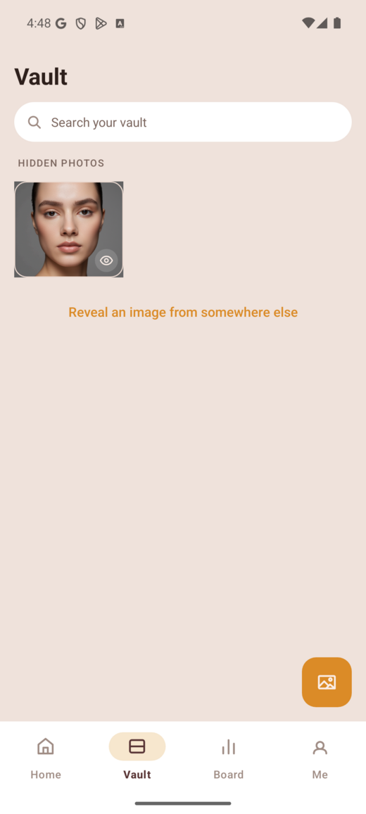The Vault tab showing a hidden photo with a reveal button overlaid